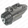 DELPHI LW12050 Wheel Brake Cylinder